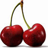 alicherry02